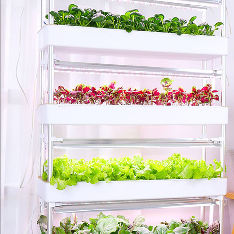 Hydroponics Growing System Ver - Hydroponic Tower Planter 评论和价格