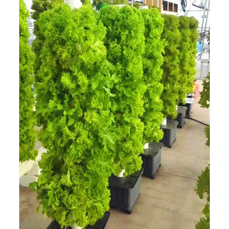 Home Garden Vertical Hydroponi - Hydroponic Tower Planter 评论和价格